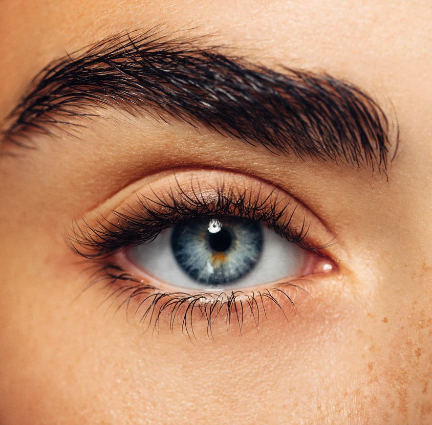 Lash & Brow Treatments