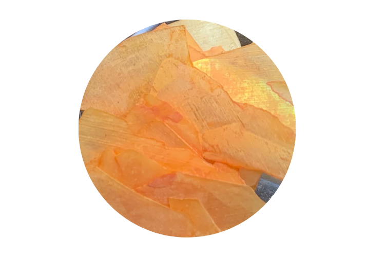 Nail Art Shells Flakes