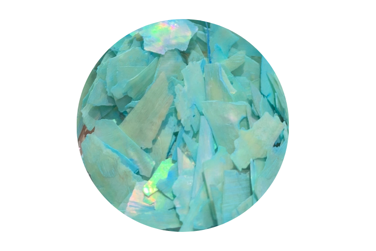 Shell Flakes Nail Art Shells Flakes | Beauty Bazaar